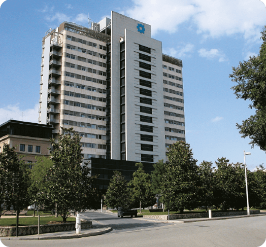 2008 Origen MútuaTerrassa